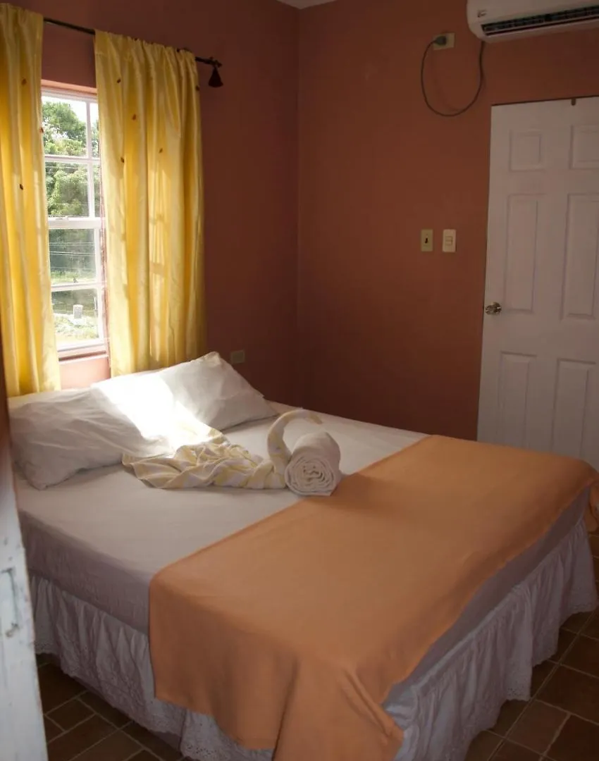 Joy And Brandon Guest House Buccoo Bed & Breakfast